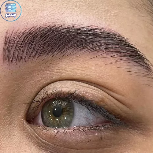 میکروبلیدینگ ابرو سالن زیبایی فاطمه نیازی
